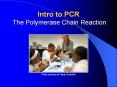 Intro to PCR The Polymerase Chain Reaction Photo courtesy o