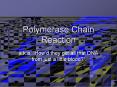 Polymerase Chain Reaction a.k.a.  How d they get all tha