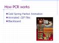 How PCR works Cold Spring Harbor Animation Animated .GI