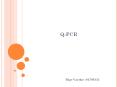Q-PCR Bige Vardar -01780333 OUTLINE What is PCR and purpos