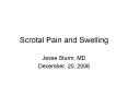 Scrotal Pain and Swelling Jesse Sturm, MD December, 20, 200