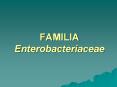 familia enterobacteriaceae caracter sticas bacilos rectos