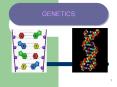 GENETICS 1 What is Genetics? ... The first organism to hav