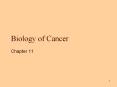 Biology of Cancer Chapter 11 Cancer Derived from Greek wor