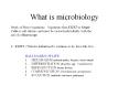 What is microbiology Study of Micro-organisms: Organism
