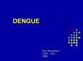 DENGUE Dra. Silvia Attorri FCM   UNC 2009 Virus Es u