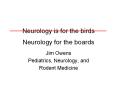 Neurology is for the birds Neurology for the boards Ji