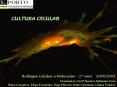 CULTURA CELULAR Biologia Celular e Molecular - 1  an