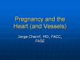 Pregnancy and the Heart (and Vessels) Jorge Cheirif, MD