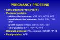 PREGNANCY PROTEINS Early pregnancy factor (EPF) Placenta