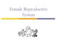Female Reproductive System Adolescence Puberty Burst o