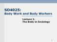 SO4025: Body Work and Body Workers Lecture 1: The Body i