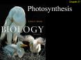Outline Flowering Plants Photosynthetic Pigment