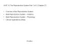 UNIT 12 The Reproductive System Part 1 of 2 (Chapter 27