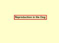 Reproduction in the Dog Physiology of the Ovarian Cycle i
