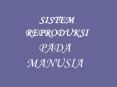 SISTEM REPRODUKSI PADA MANUSIA REPRODUKSI PADA MANUSIA