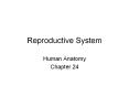 Reproductive System Human Anatomy Chapter 24 Uterine Tub