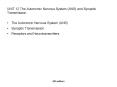 UNIT 12 The Autonomic Nervous System (ANS) and Synapti