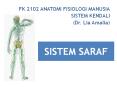 FK 2102 ANATOMI FISIOLOGI MANUSIA SISTEM KENDALI (Dr. Li