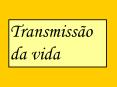 Transmiss o da vida Sistema Reprodutor Masculino Sistem