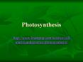 The Photosynthesis Equation Light and Pigments In additio