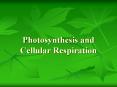 Photosynthesis and Cellular Respiration Photosynthesi