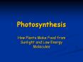 Photosynthesis How Plants Make Food from Sunlight and Lo