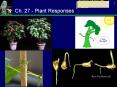 Ch. 27 - Plant Responses Ch. 27 - Plant Responses Tropism