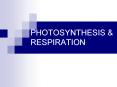 PHOTOSYNTHESIS & RESPIRATION What is ATP? ATP = Adenosin