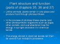 Plant structure and function (parts of chapters 35, 36 an