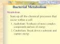 Bacterial Metabolism Metabolism Sum up all the chemica