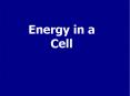 Energy in a Cell All Cells Need Energy Cells need energy t