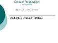 Cellular Respiration All Organisms CH2O + O2   CO2 + H2O 