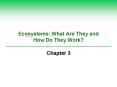 Ecosystems: What Are They and How Do They Work? Chapter 3 