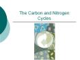 The Carbon and Nitrogen Cycles What is Carbon? Carbon is a
