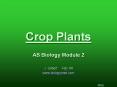 Crop Plants AS Biology Module 2 J. Gilbert Feb  0