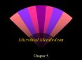 Microbial Metabolism Chapter 5 Metabolism - all of th