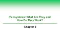 Ecosystems: What Are They and How Do They Work? Chapter 3 