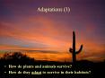 Adaptations (3) How do plants and animals survive? How d