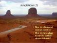 Adaptations (2) How do plants and animals survive? How d