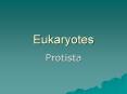 Eukaryotes Protista What do Eukaryotes have that Prokaryote