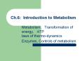 Ch.6: Introduction to Metabolism Metabolism, Transformatio