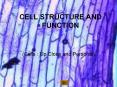 CELL STRUCTURE AND FUNCTION (Cells : Up Close and Personal