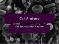 Cell Anatomy Cell Parts & their Function What is a Cell? 