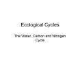 Ecological Cycles The Water, Carbon and Nitrogen Cycle Wate