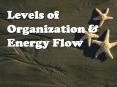 Levels of Organization & Energy Flow The Biosphere Biospher