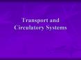 Transport and Circulatory Systems Why are transport an