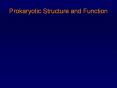 I. Morphological features of Prokaryotes Prokaryotic versu