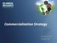 Commercialization Strategy AGENDA Commercialization Strateg