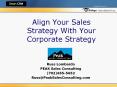 Align Your Sales Strategy With Your Corporate Strategy Rus